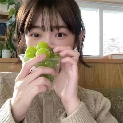 蛋黄哥大冒险